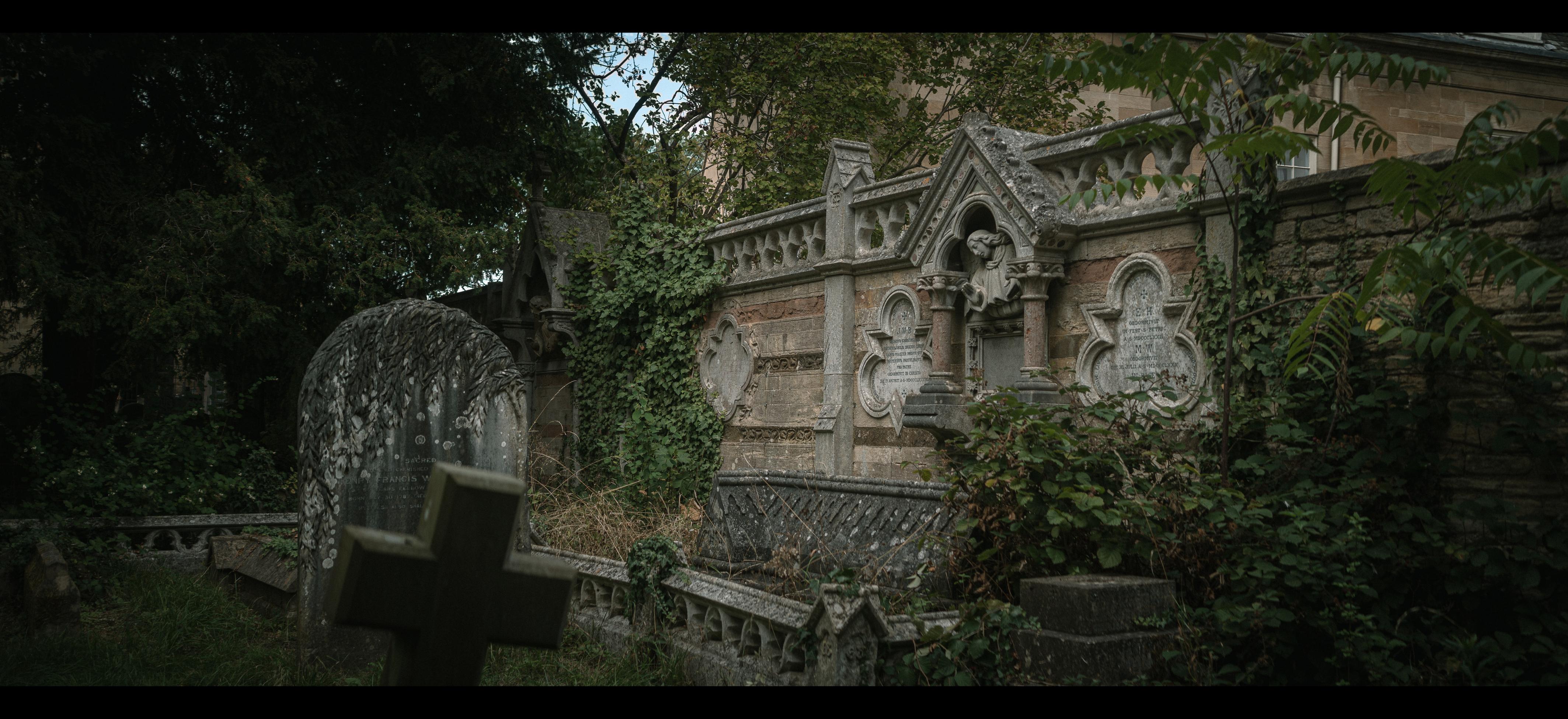 A variety of gravestones in a cemetery.