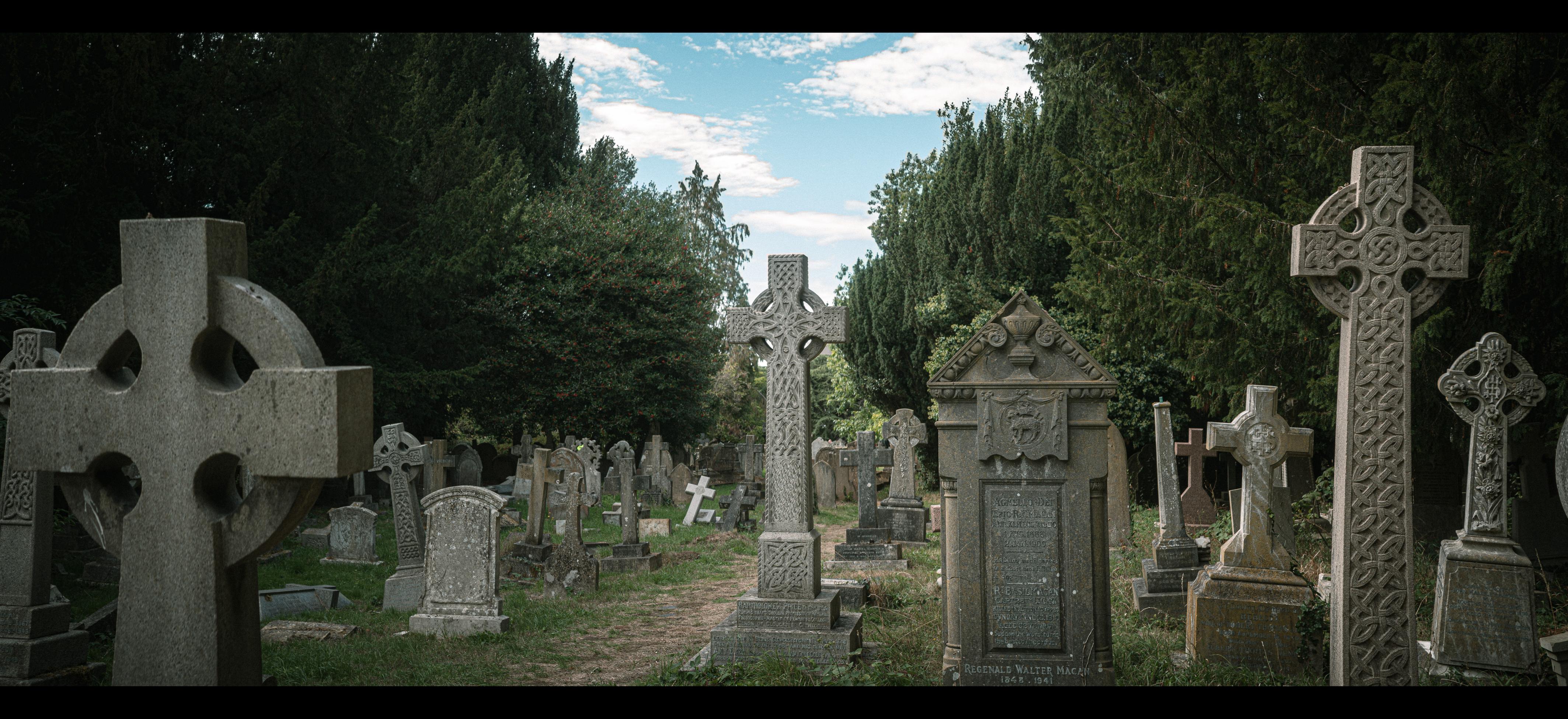 A variety of gravestones in a cemetery.