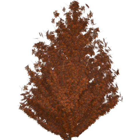Now this s what I am talking about. Rendered at 512 pixels and then downscaled without interpolation in Gimp gets the pe