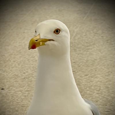 MartinJBreen