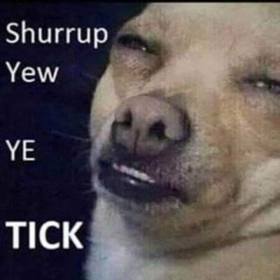 ownohmanny@mastodon.ie