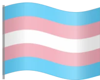 :trans_flag: