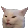 :catangry: