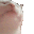 :cat_jam: