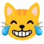 :google_noto_color_emoji_animated_joy_cat:
