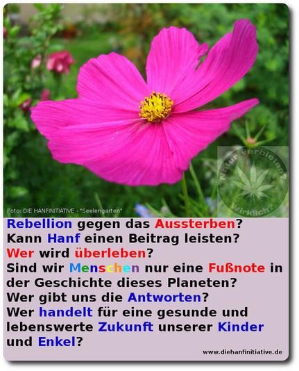 Die #CSU hasst gewisse Menschen, oder Gruppen, weil sie in irgendeiner Form mit #Hanf zu tun haben. Sie nennen diese Menschen "#KIFFER".

Wie funktioniert die #Ausgrenzung? 
Es sind #SiebenSchritte bis zur #Entmenschlichung. 

Wiederholt sich #Geschichte?!
https://de.wikipedia.org/wiki/Eugene_Jarecki

#extinctionrebellion  #LastGeneration
#climatecrisis 
#Endocannabiniode #heilpflanze #cannabis  #anslinger #antipro #rassismus #letztegeneration 
#CDU #CSU #SPD #FDP #Lauterbach #Aiwanger #Scholz #Lindner #Söder #nazis