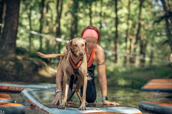 Hund und Halterin auf einem Stand-up Board. Die Frau kniet, der Hund steht vor ihr. Aufgenommen auf einem Hindernislauf für Menschen und Hunde.