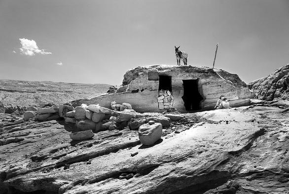Black and white image of an ass on the roof of a house ruin in the USA. Image shows the US President standing on top of the wreck and ruin he is making of the USA, emblematic of what he's done in just two months to destroy the very fabric of the USA cultivated over the last two centuries. An Ass over his Ass-Kingdom.