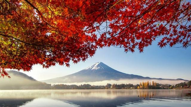 Discover top travel deals: Japan tour, Mediterranean cruise, Canada, Australia, and Bangkok