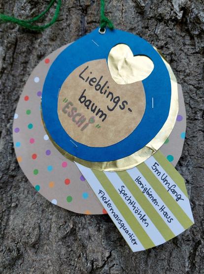 Ein Orden bestehend aus Kreisen (gepunktet, blau, gold) und einem goldenen Herz. In der Mitte steht "Lieblingsbaum Eschi". Am Rand klebt eine grün weiß gestreiftes Papier. Auf jedem weißen Streifen stehen Eigenschaften des Baumes: 5m Umfang, Honigbienen-Haus, Spechthöhlen, Fledermausquartier
