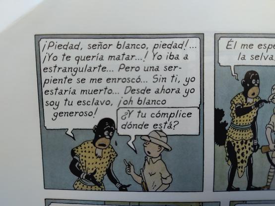 El jefe de la tribu termina agradeciendo a tintin perdonarle la vida. Y le dice ser su esclavo
