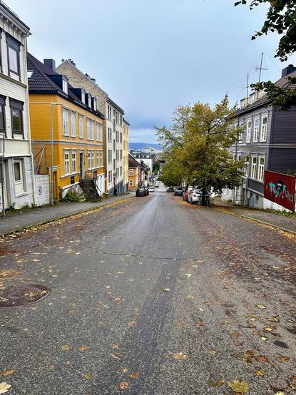 This image shows a street view that features a quiet, tree-lined road with traditional houses on either side. The architecture suggests a North European setting, possibly in Scandinavia, and it appears to be an overcast day. The leaves scattered on the roadway indicate it could be in the autumn season. The buildings are multi-story, reflecting typical residential structures seen in many historic towns in this region. The absence of significant traffic and people in this view conveys a peaceful and residential neighborhood atmosphere. There is also a sense of depth with the street leading towards a more urbanized area in the distance, under a slightly grey sky.