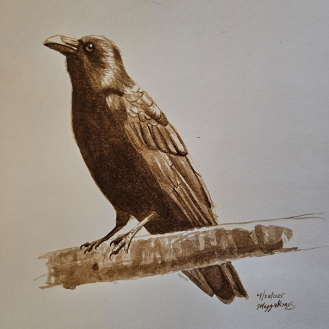 A walnut ink painting of a crow standing on a branch and looking up and left, lit from behind. Done in brush and dip pen on mixed media paper.