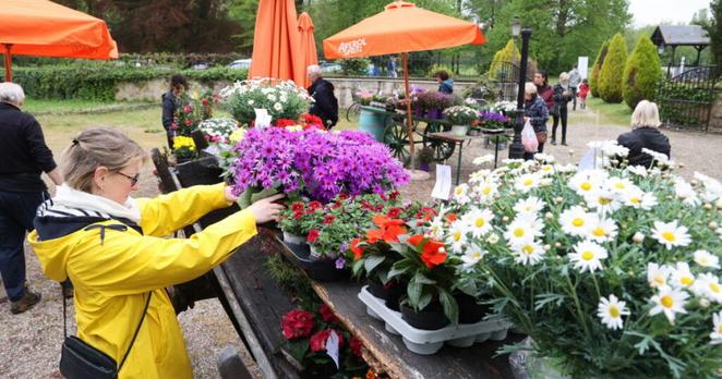 Strasbourg et alentours. Puces, marché aux plantes, guinguette... nos 5 idées pour s'occuper le 1er-Mai