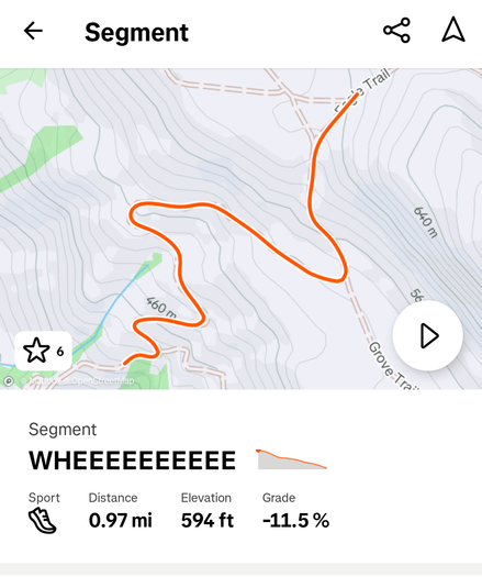 Segment screenshot from Strava of a trail going down a mountain. The segment is named "WHEEEEEEEEEE", and drops 594 feet over 0.97 miles.