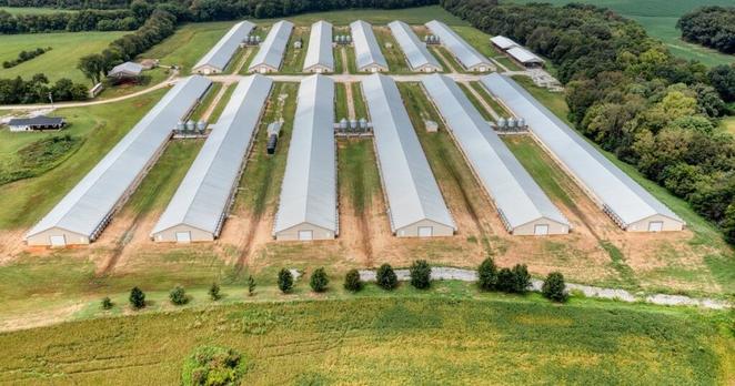 Cobb-Vantress boosts innovation pipeline with strategic research expansion