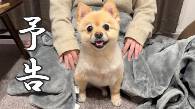 明日、大切なお知らせがあります