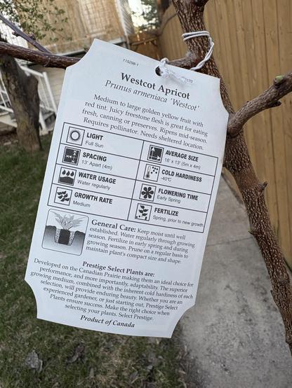 A fruit tree label. It reads: westcot apricot (prunus armeniaca ‘westcot’).
Medium to large golden yellow fruit with red tint. Juicy freer stone flesh is great for eating fresh, canning, or preserves. Ripens mid season. Requires pollinator. Needs sheltered location. 
Underneath is information about its size and needs. Also care instructions.