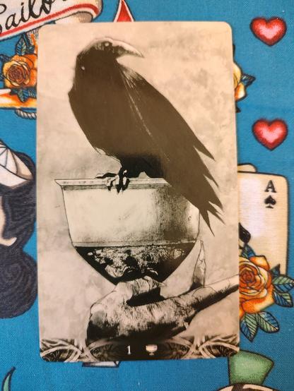 Card from the Murder of Crows Tarot deck. 
Ace of Cups.
A hand holds up a chalice (cup) with a crow perched on the cup.