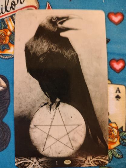 Card from the Murder of Crows Tarot deck. 
Ace of Coins.
A crow is perched on a large coin with a pentacle in the middle.