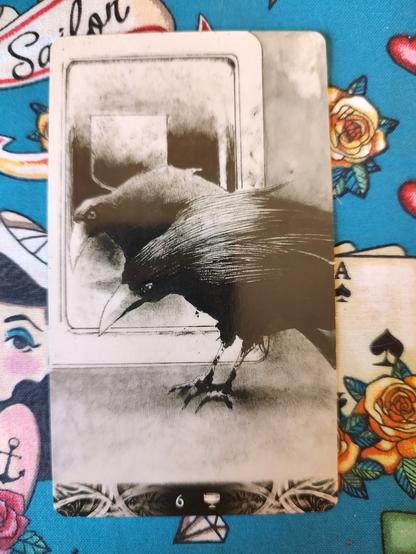 Card from the Murder of Crows Tarot deck. 
Six of Cups.
A crow in front of a mirror sees its reflection. A large cup is reflected in the mirror behind the crow.