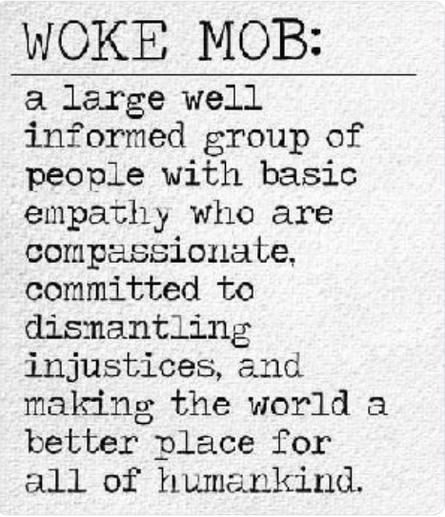 The screenshot reads:
"WOKE MOB:
a large well informed group of people with basic empathy who are compassionate, committed to dismantling injustices, and making the world a better place for all humankind."