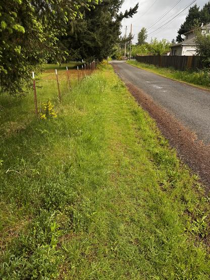 A packed gravel road leading out to a main paved road lined by green growing stuff all wet on a cloudy day.