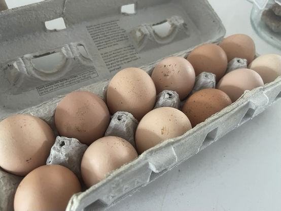 A dozen brown eggs of various shades sit in a reused egg carton. Specs of chicken shit spot each egg.