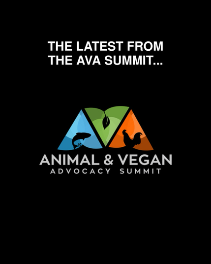 Text reads “The latest from the AVA Summit,” with the AVA Summit logo beneath.