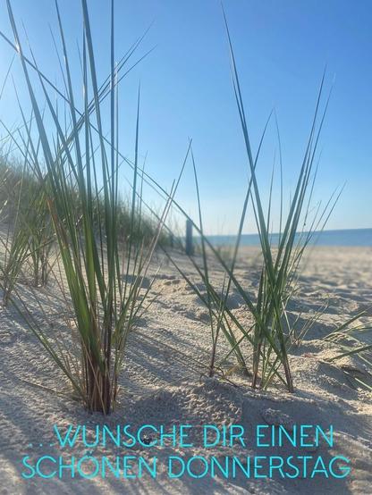 Ah, ein schöner Gruß zum Donnerstag! Das Bild zeigt einen sonnigen Strandtag. Im Vordergrund wachsen einige Büschel grünes Strandgras im hellen Sand. Die Halme ragen spitz in den blauen Himmel. Im Mittelgrund erstreckt sich der feine Sandstrand, der von den Gräsern und ein paar undeutlichen Objekten im Hintergrund leicht strukturiert wird. Dahinter schimmert das blaue Meer unter einem wolkenlosen, hellblauen Himmel.
Am unteren Bildrand ist in türkisfarbener Schrift die Nachricht "...WÜNSCHE DIR EINEN SCHÖNEN DONNERSTAG" zu lesen. Es ist also eine freundliche Botschaft für diesen Donnerstag.