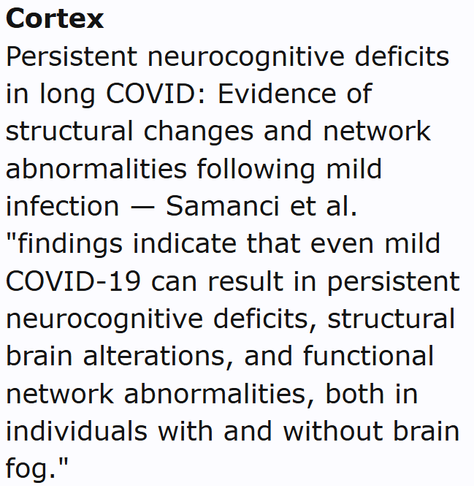 Cortex
Persistent neurocognitive deficits in long COVID: Evidence of structural changes and network abnormalities following mild infection — Samanci et al.
"findings indicate that even mild COVID-19 can result in persistent neurocognitive deficits, structural brain alterations, and functional network abnormalities, both in individuals with and without brain fog."