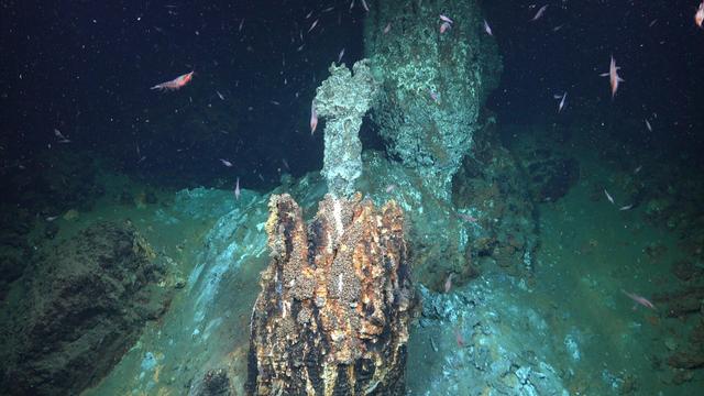 dark underwater landscape with shrimp swimming around volcanic features