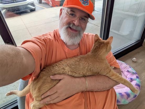A friendly orange cat relaxing on the chest of a large bearded man in an orange shirt and hat