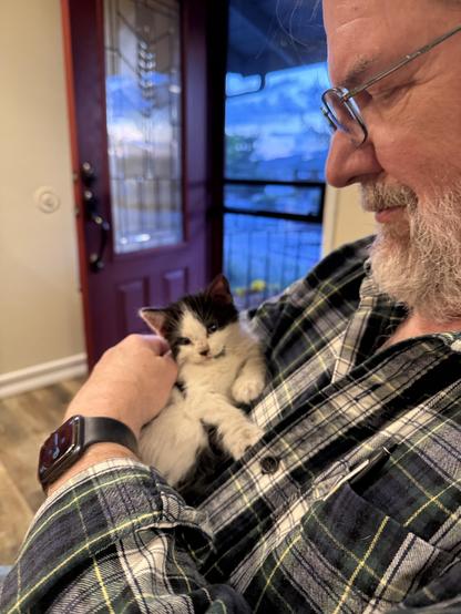Husband holding a tuxedo kitten on his chest. Kitten is totally blissed out