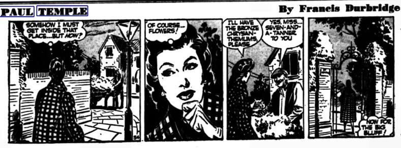 Newspaper strip