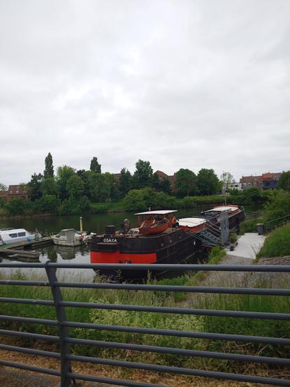 A river boat called Osaka is stationed at the river dock. A small boat is visible on its deck.  Other boats are parked next to it.
Vegetation and buildings on the other side of the river.