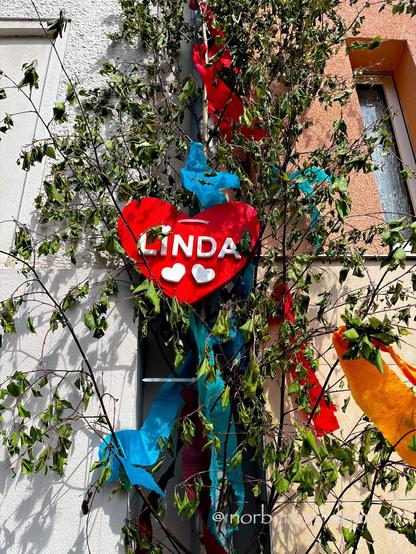 Dünne, frische Birke an einer Hauswand befestigt, geschmückt mit farbigen Papierbändern, und einem großen roten Herz, auf dem mit sauber ausgeschnittenen Styropor-Buchstaben der Name Linda steht, und zwei kleine weiße Herzen darunter. Ganz klar: Ein Maibaum!