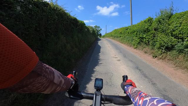 Cyclist on a road with high hedges. In the distance on the road a bird is in flight