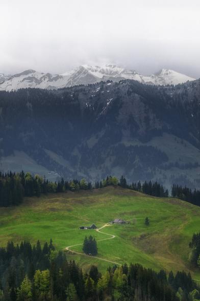Landschaftsfotografie im Hochformat des Emmentals.
