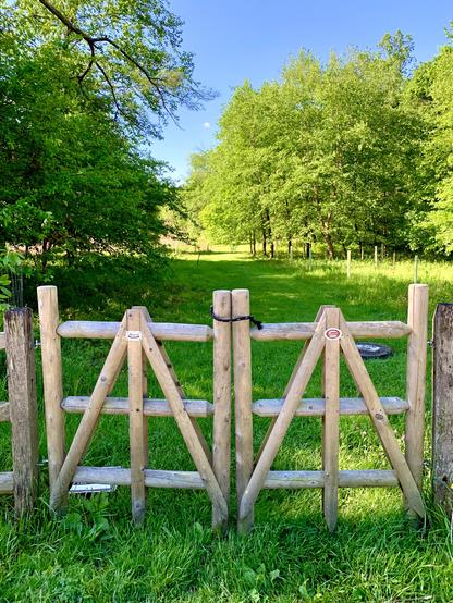 A view of a grassy path in the wood from a wooden gate on a sunny morning.