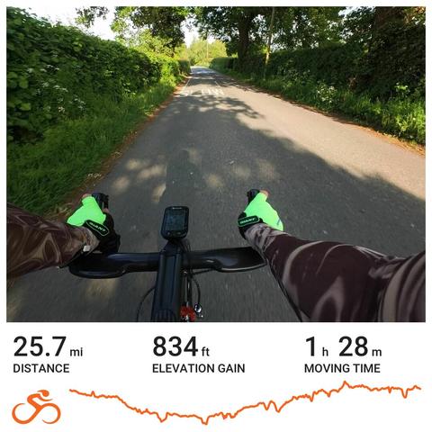 Cyclist on a shady road, trees overhanging both sides & high hedges