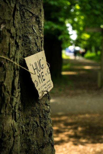 Photo of a section the rough trunk of a large tree, which takes up the left-hand side of the image. On the right is a path that runs off, out-of-focus, into the distance under a canopy of green leaves. Around the middle of the tree, hung on a piece of brown string, is a cardboard sign on which is written:
"HUG 
ME
For 22 seconds or more.
Hugging a tree can help
... reduce stress :)"
The bottom left corner is torn off, so maybe there's was more between "help" and "reduce".