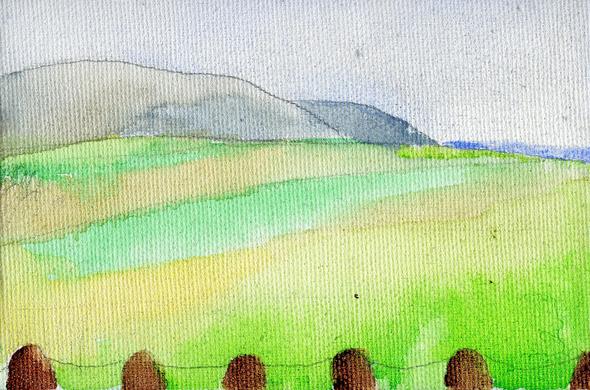 the burrens