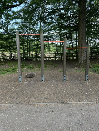 Pull up bars