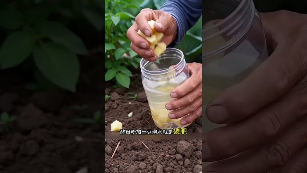 Master this trick, and your home vegetable garden will thrive #vegetables #gardening #plantingtips