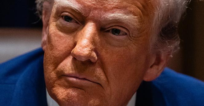 President Trump has generally hinted that he sees the promises of nearly $1 billion in pro bono legal services that he has extracted from elite law firms as a legal war chest to be used as he wishes.