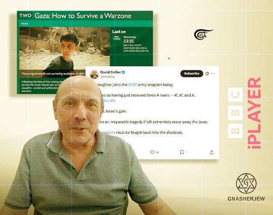 David Collier is the Zionist troll operative behind the intimidation of the BBC resulting in the removal of the Documentary How to Survive in a War Zone. (Al Mayadeen English; Illustrated by Batoul Chamas)