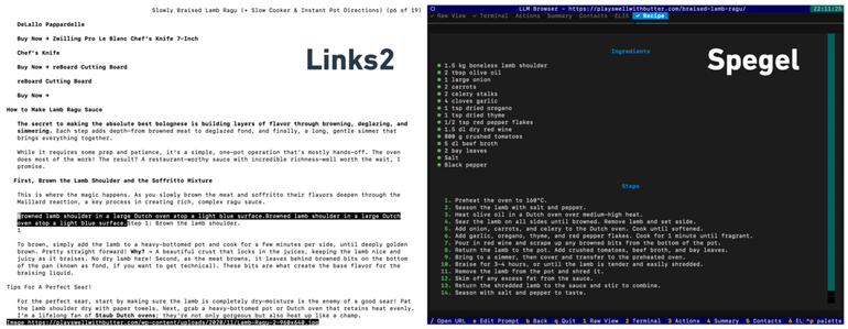 Spegel - A Terminal Browser That Uses LLMs to Rewrite Webpages