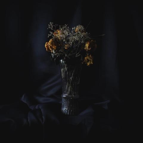 Image for A Barren Emptiness by Gorthon