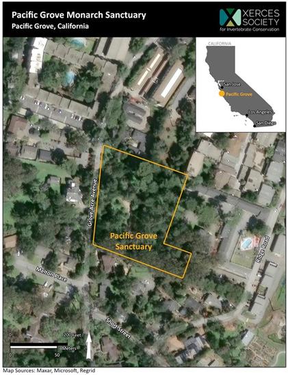 Figure 1. Map of Pacific Grove Monarch Sanctuary. Pacific Grove, California, USA with the boundary of the Pacific Grove Monarch Sanctuary outlined.